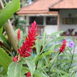 Villa Sindu Ubud